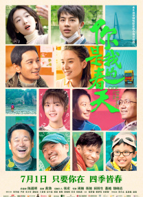 tk视频免费